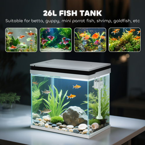 14L Small Fish Tank with Filter System, LED Lights, Water Pump