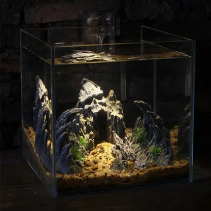 Stunning Fish Tank