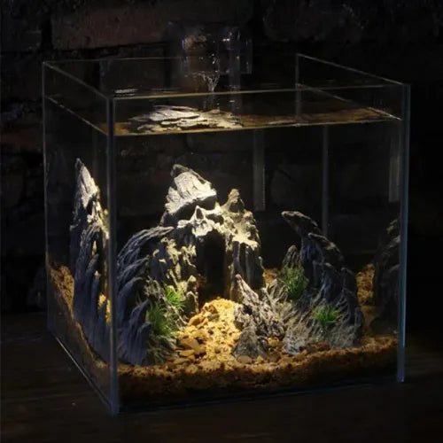 Stunning Fish Tank