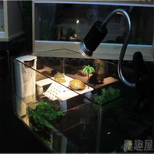 Reptile Basking Platform - Plastic Aquarium Climbing Ladder for Pets