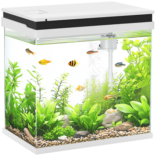 14L Small Fish Tank with Filter System, LED Lights, Water Pump