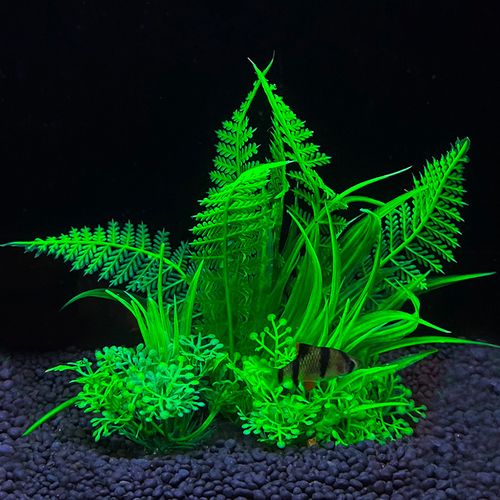 Vibrant Aquarium Plants - Beautiful Fish Tank Decoration Accessories